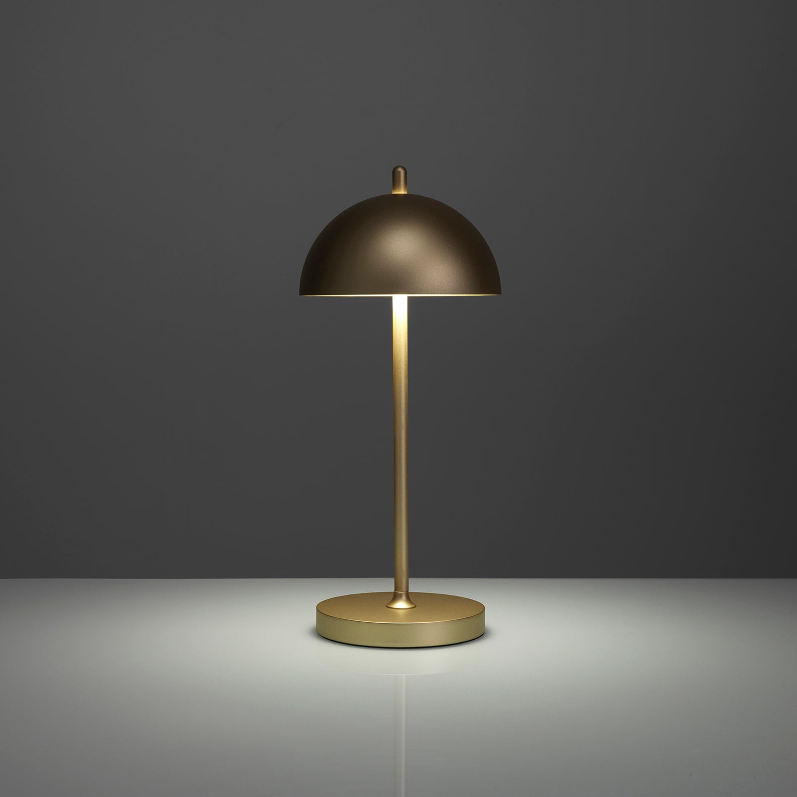 KRIO goldene wiederaufladbare Tischlampe