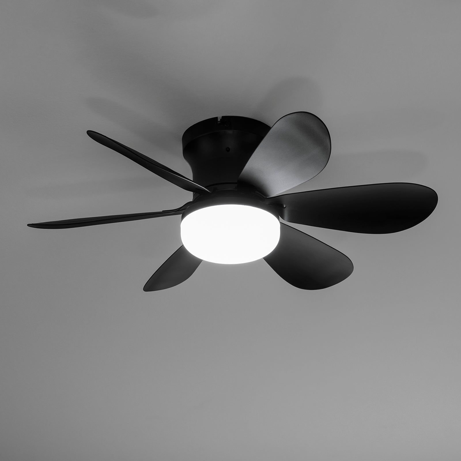 Plafoniera LED con ventilatore HAINE
