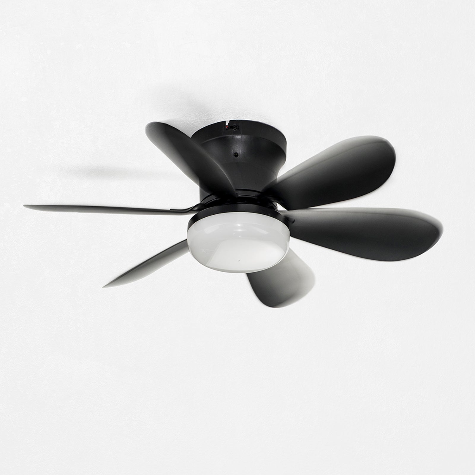 Plafoniera LED con ventilatore HAINE