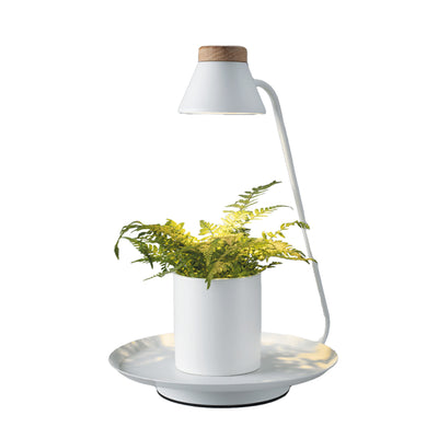 Lampada LED da interno con porta pianta YURA bianco