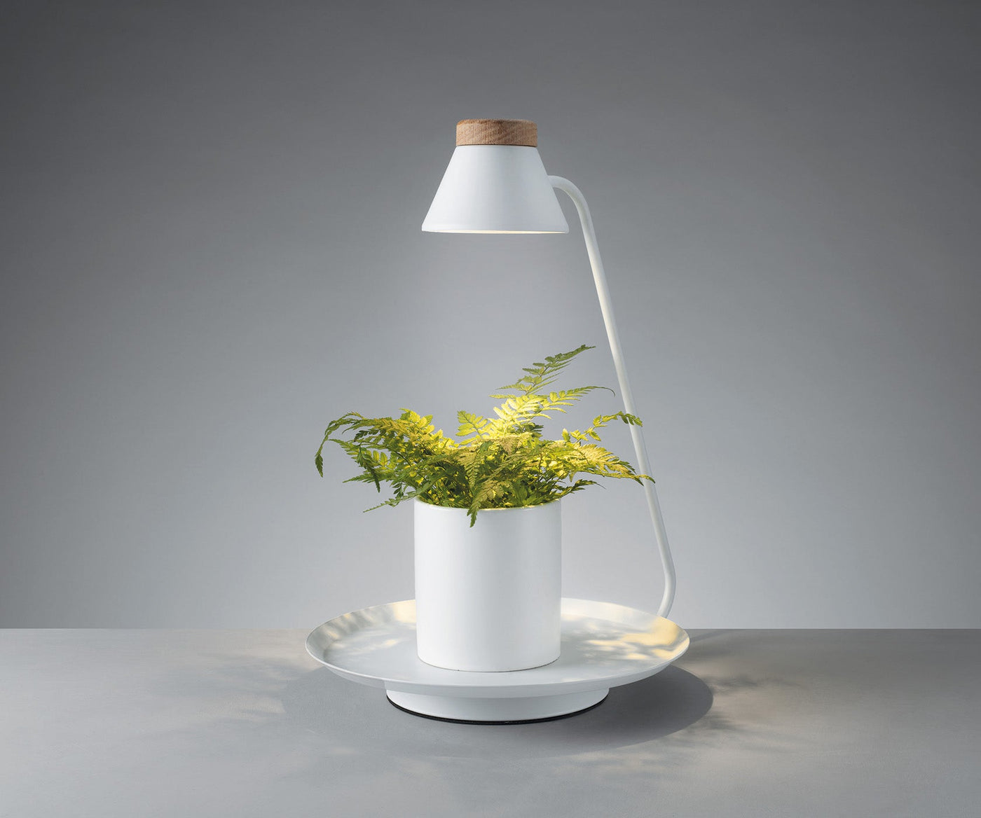 Lampada LED da interno con porta pianta YURA bianco