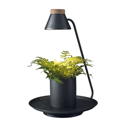 Lampada LED da interno con porta pianta YURA nero
