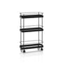 Schwarzer KAN-Trolley