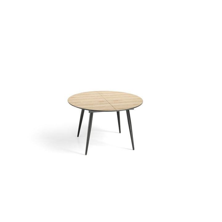 DEXTER extendable table