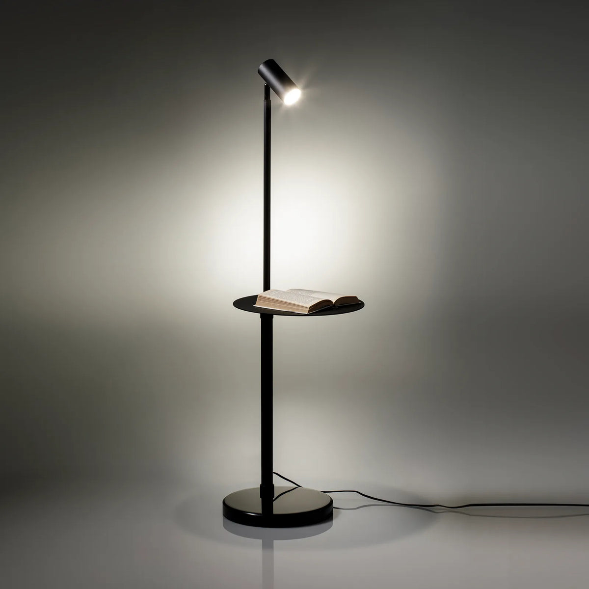 Lampada da terra DARLLEN