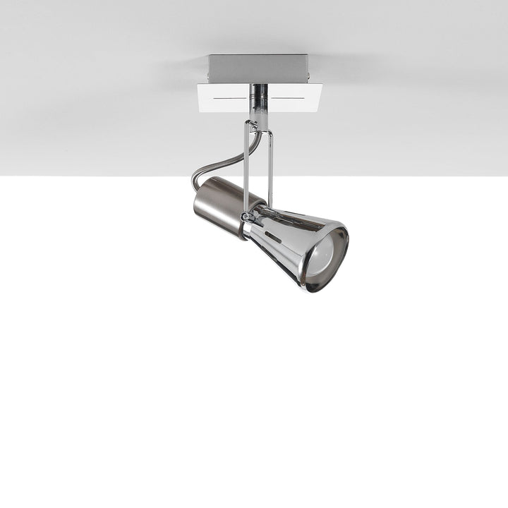 ROY chrome adjustable spotlight