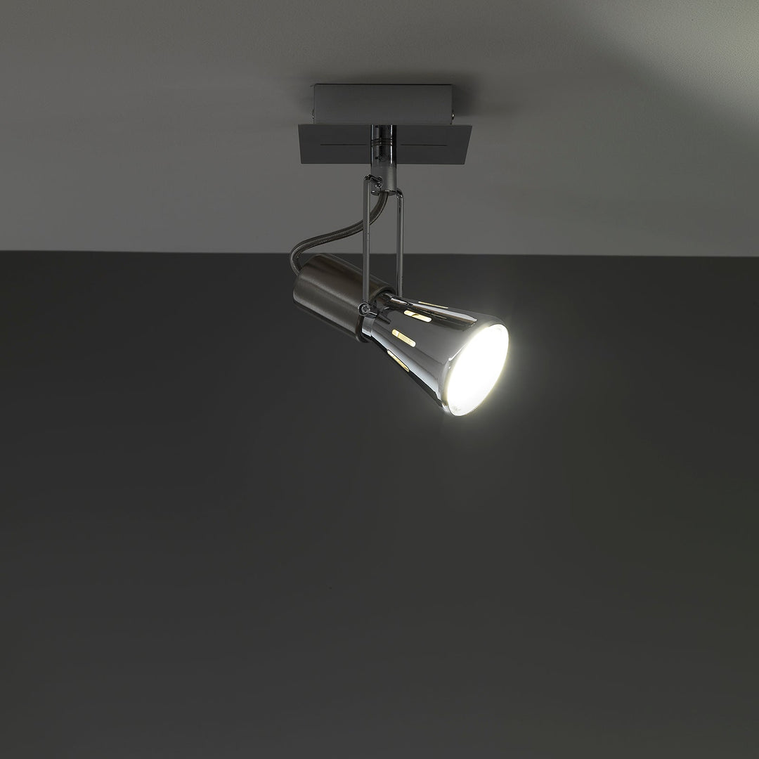 ROY chrome adjustable spotlight