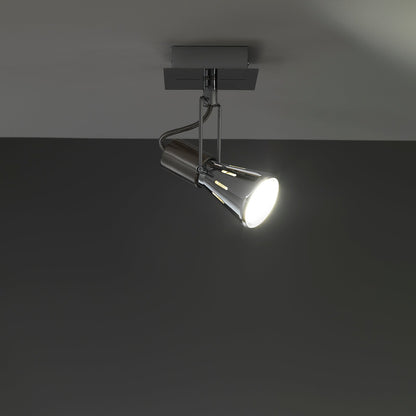 ROY chrome adjustable spotlight