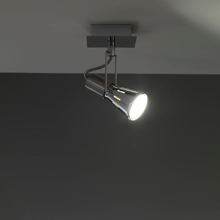 ROY chrome adjustable spotlight