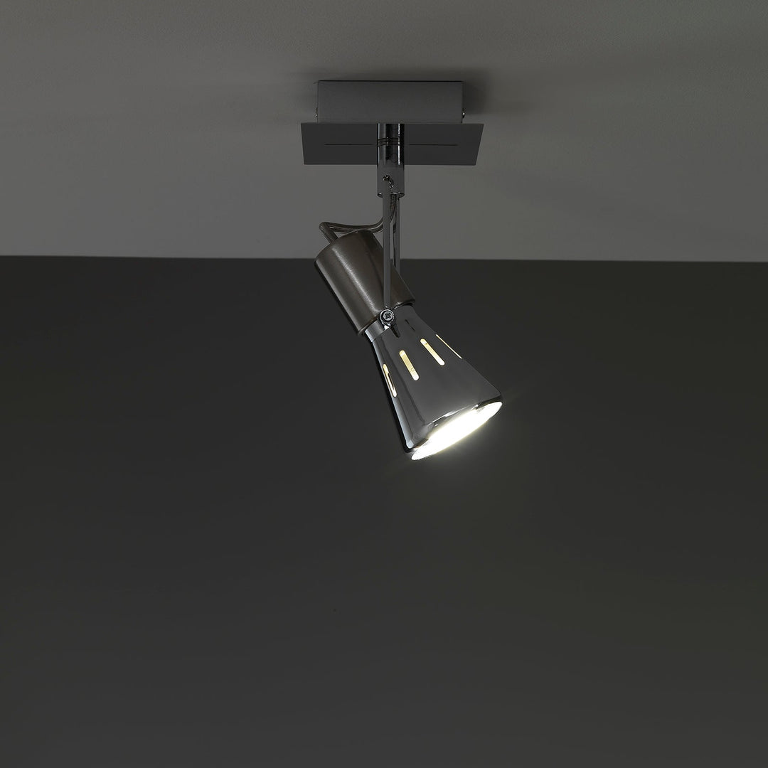 ROY chrome adjustable spotlight