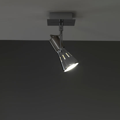 ROY chrome adjustable spotlight