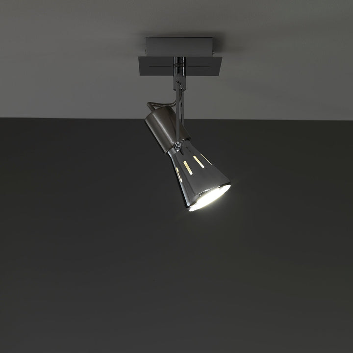 ROY chrome adjustable spotlight