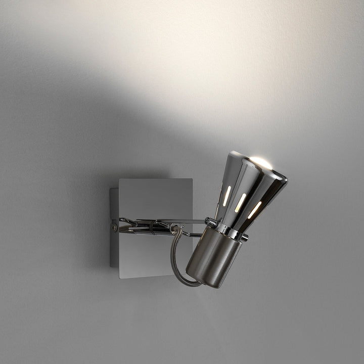 ROY chrome adjustable spotlight
