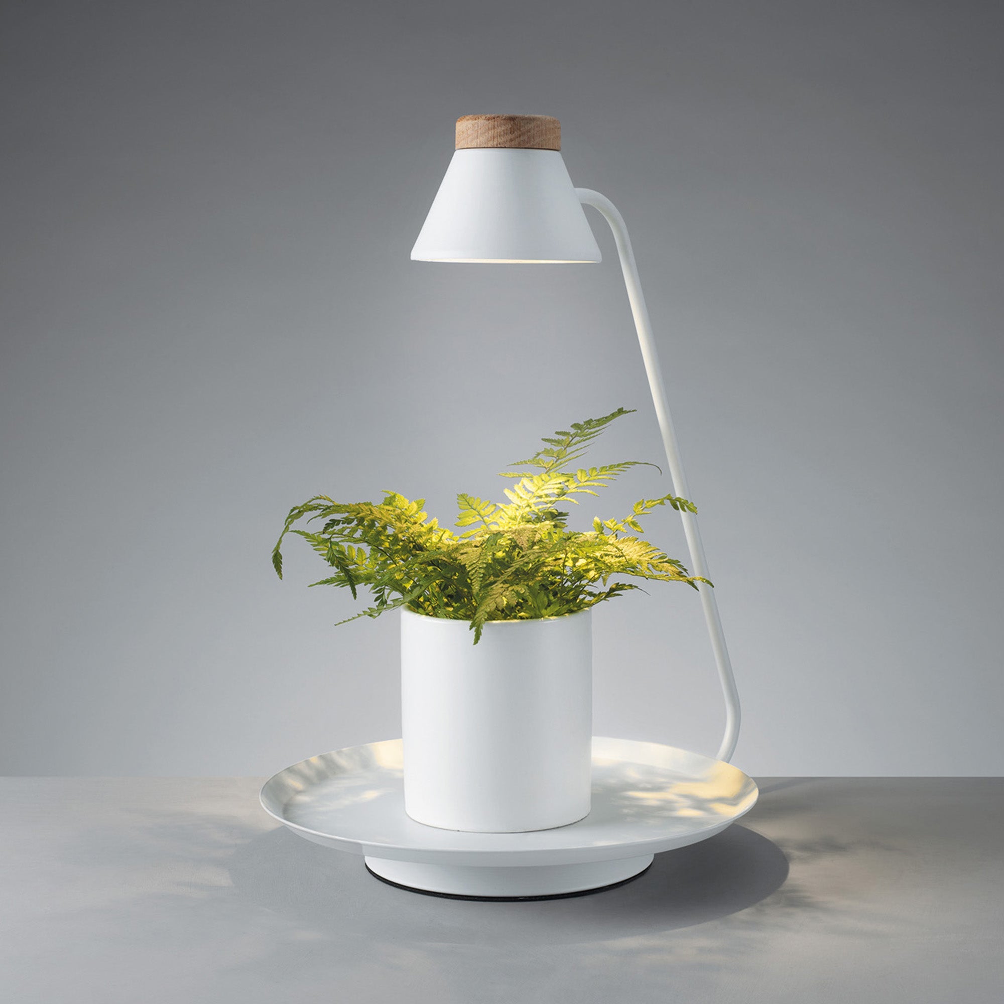 Lampada LED da interno con porta pianta YURA | Bianco